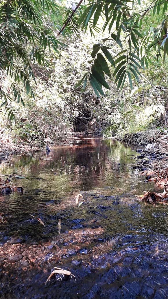 Kondisi sungai di blimbing pandeyan