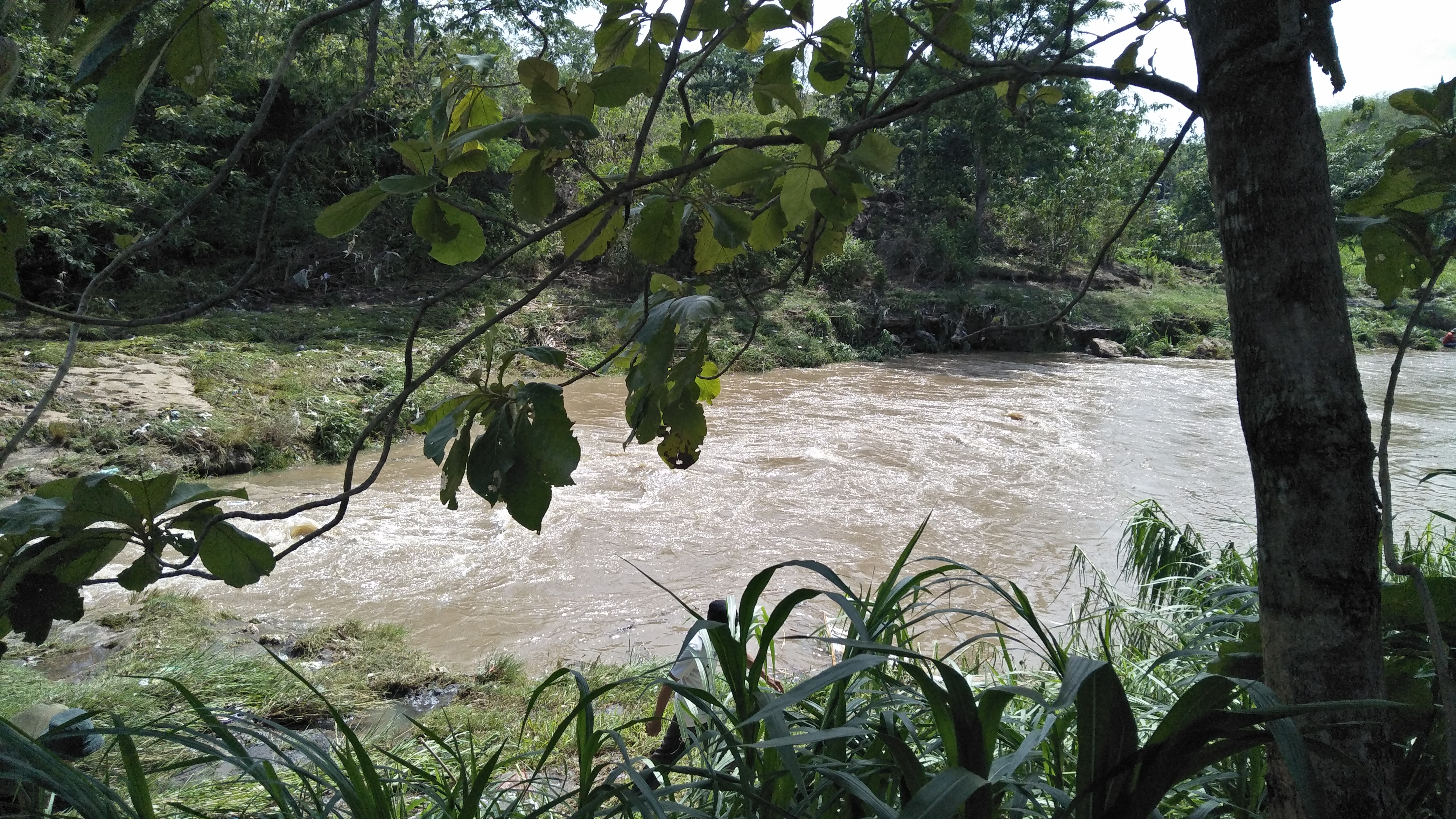 Sungai Gandong Pijenan